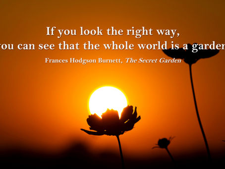 Thought for Thursday, December 16, 2021