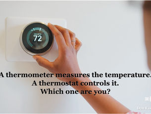The Thermostat