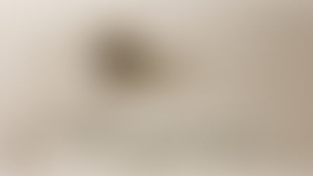 Affirmation for Today - June 11, 2025