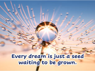 Thought for Today - November 23, 2025
