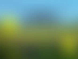 Affirmation for Tuesday, May 10, 2022