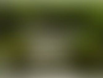 Thought for Today - June 26, 2024