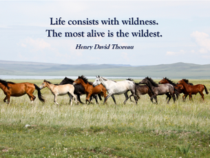 Thought for Wednesday, June 3, 2020