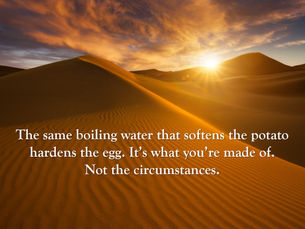 Thought for Saturday, December 19, 2020