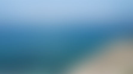 Thought for Today - December 13, 2024