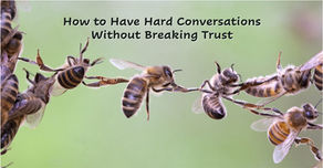 Bees linked together in chain representing maintaining trust through hard conversations