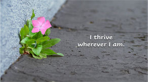 Affirmation for Today - November 26, 2025