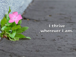 Affirmation for Today - November 26, 2025