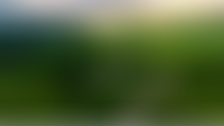 Affirmation for Today - December 12, 2024