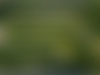 Thought for Today - February 18, 2025