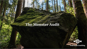 A massive moss-covered boulder in a forest, dwarfing the trees around it — ancient, settled, immovable but surrounded by open space. Text reads: "The Monster Audit." Don Eash Coaching.