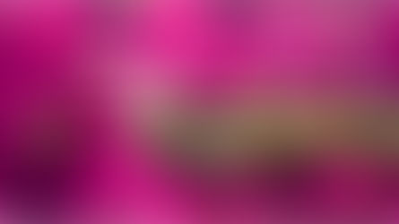 Thought for Today - November 27, 2024