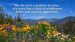 Affirmation for Today - May 22, 2025