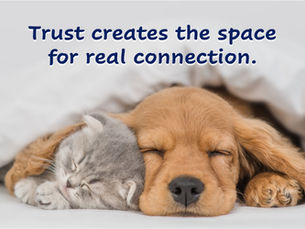 Connection