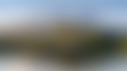 Affirmation for Today - January 17, 2025