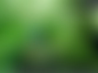 Thought for Today - February 20, 2025