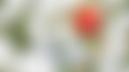 Thought for Today - March 10, 2025