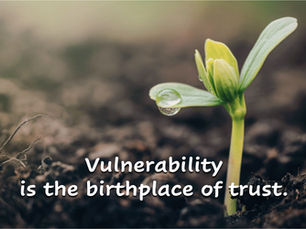 Vulnerability