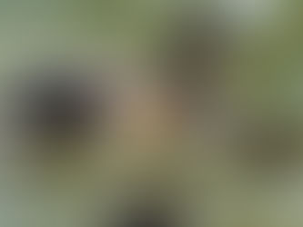 Thought for Today - March 6, 2024