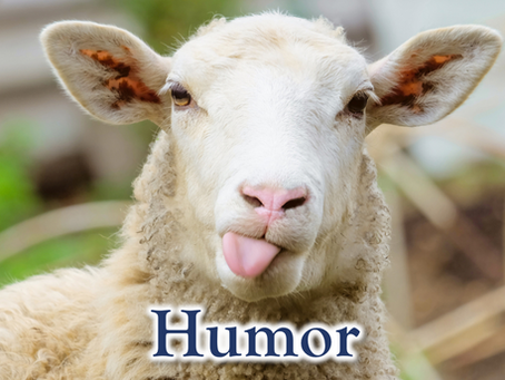 24 Character Strengths: Humor