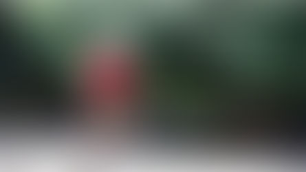 Thought for Today - November 22, 2024