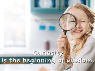 Curiosity