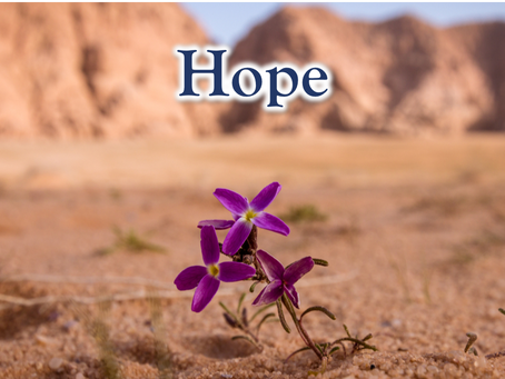 24 Character Strengths: Hope