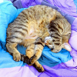 Where%20to%20Find%20an%20Inspiration%20i