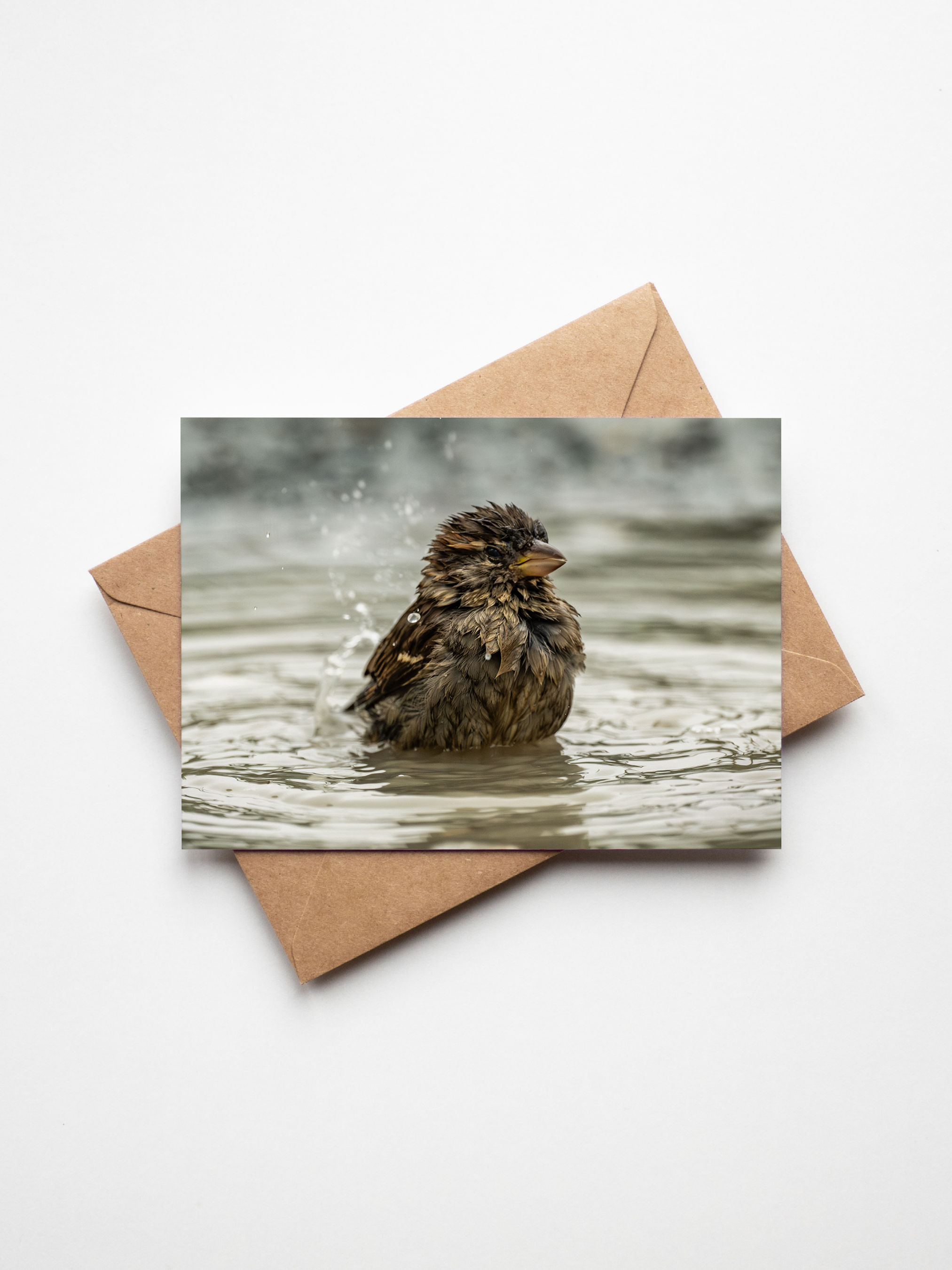 A playful sparrow splashing joyfully in a puddle