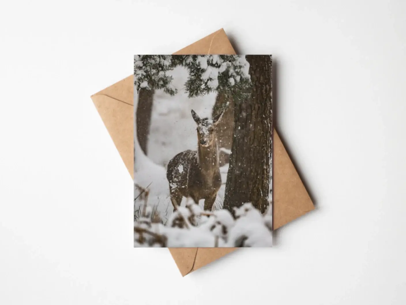 Snow gently falling on the deers head