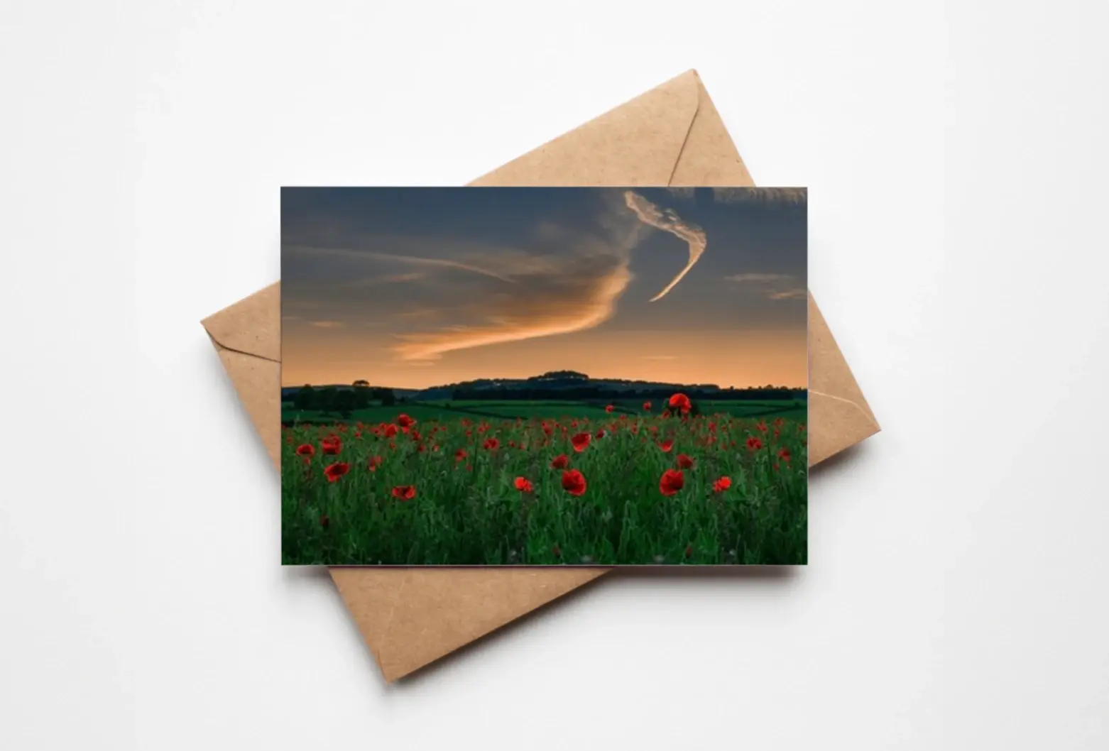 Poppy field at Sunset