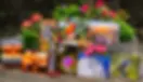 socla medai image-compressed_Webpifier.webp