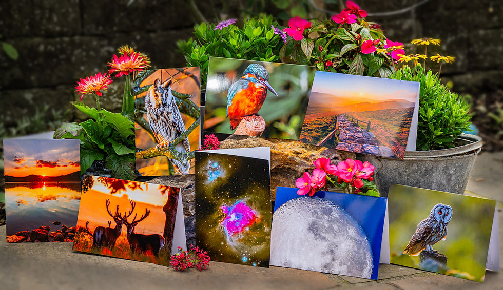 socla medai image.jpg