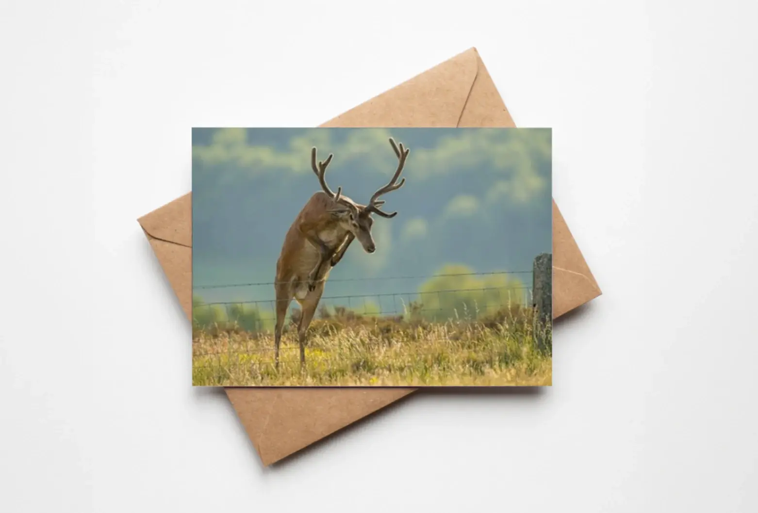 A graceful Stag captured in mid-leap