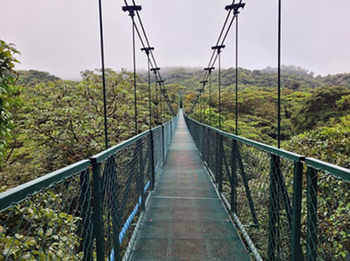 Hängebrücken Monteverde