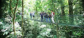 Hanging Bridges.webp