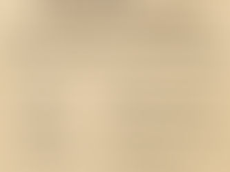 November Updates!