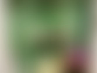 Website update March