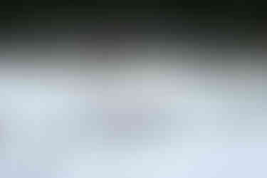 photo by tara demers