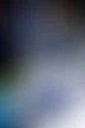 photos by holly arend