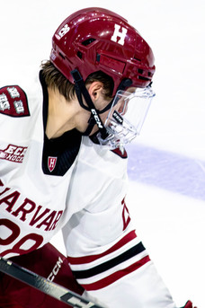 HARVARD VS UMICH BY HOLLY AREND
