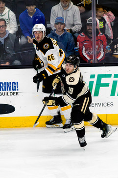 Hershey vs Providence by Holly Arend