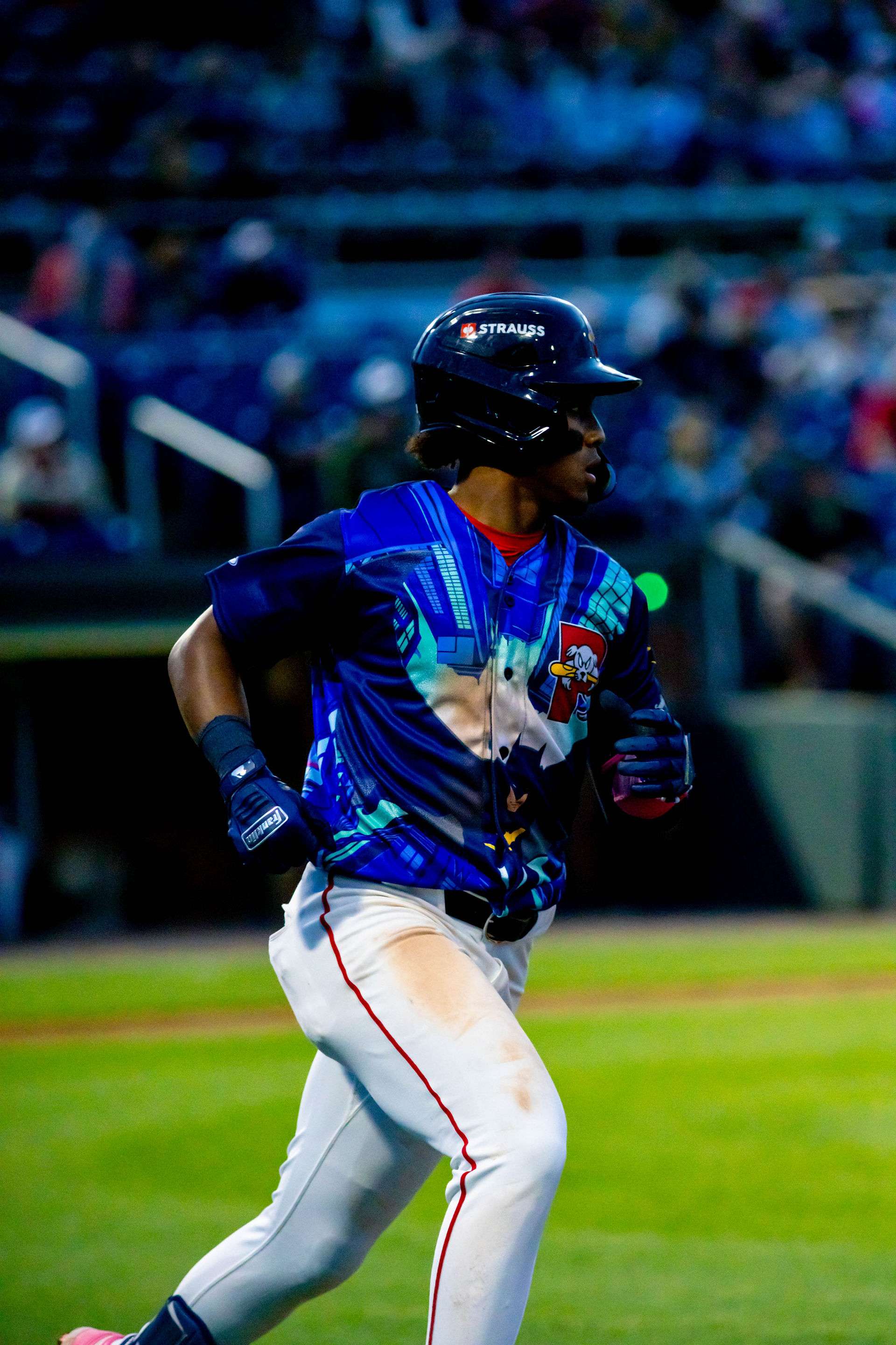 Sea Dogs vs Patriots, June 20th, 2026 by Holly Arend