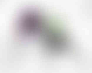 Savannah Ghost Pirates vs Orlando Solar Bears Photographed by Christina Winnegar