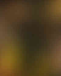 Tiger-cats vs Redblacks by SO KIM