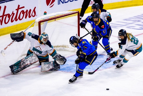 New York Sirens vs Toronto Sceptres by SoJung Kim