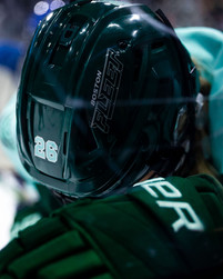 FLEET VS GOLDENEYES BY OLIVIA KING