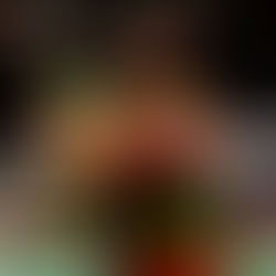 Oshawa FireWolves vs Buffalo Bandits by Sojung Kim