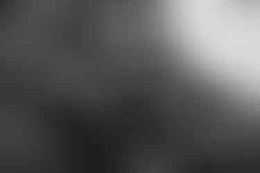 Savannah Ghost Pirates vs Orlando Solar Bears Photographed by Christina Winnegar