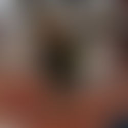 York Open Brings the Heat for Early-Season Indoor Track